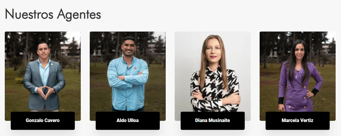 Agentes de ventas de un sitio web inmobiliario